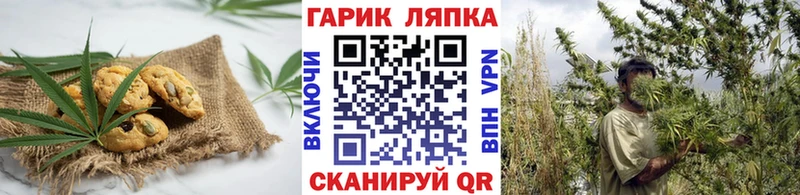 купить наркотик  Хадыженск  Canna-Cookies марихуана 
