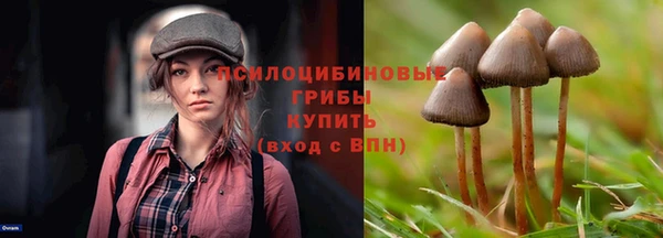 сатива Навашино