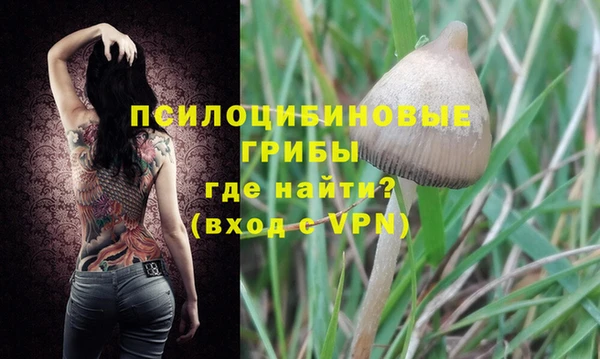 крисы Нефтегорск