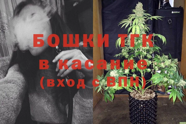 стаф Нея