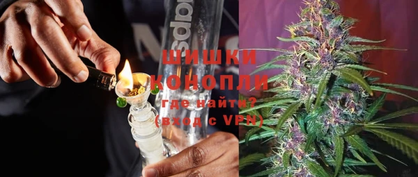 стаф Нея